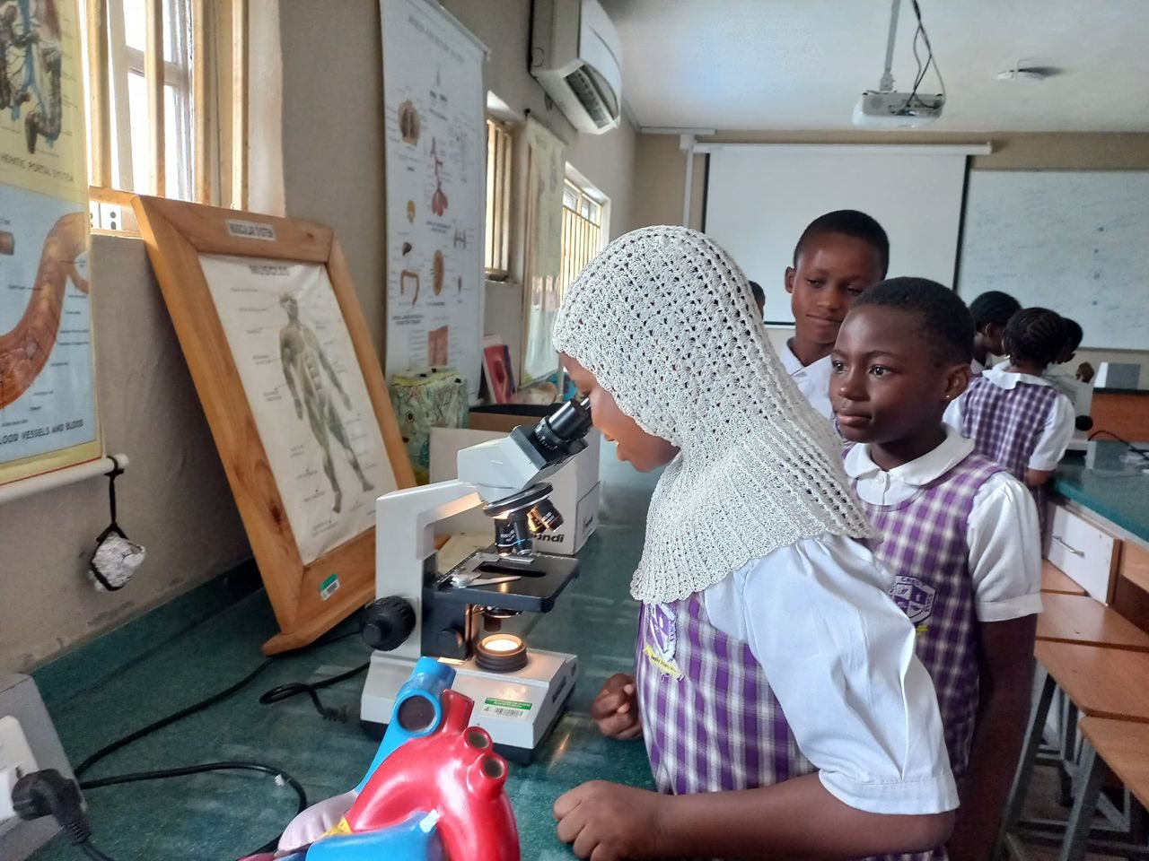 Pupils observing through a microscope